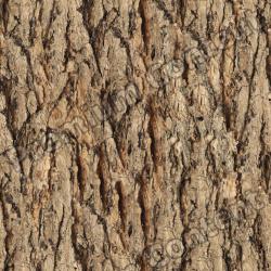 High Resolution Seamless Textures 0059